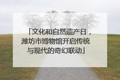 文化和自然遗产日，潍坊市博物馆开启传统与现代的奇幻联动