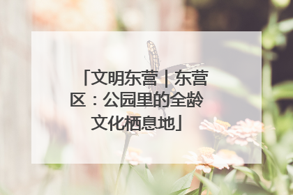 文明东营｜东营区：公园里的全龄文化栖息地