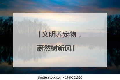 文明养宠物，蔚然树新风