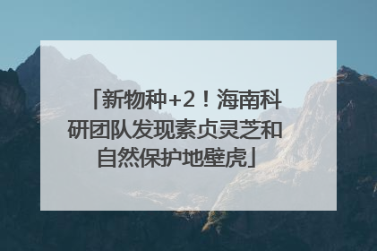 新物种+2！海南科研团队发现素贞灵芝和自然保护地壁虎