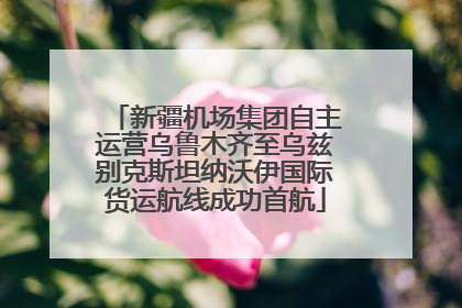新疆机场集团自主运营乌鲁木齐至乌兹别克斯坦纳沃伊国际货运航线成功首航