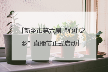 新乡市第六届“心中之乡”直播节正式启动