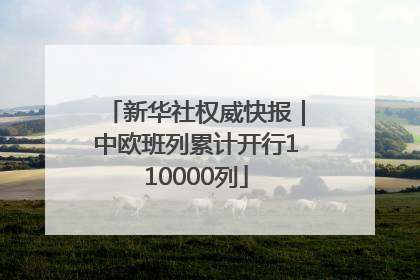 新华社权威快报｜中欧班列累计开行110000列