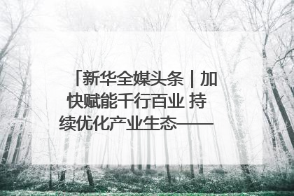 新华全媒头条｜加快赋能千行百业 持续优化产业生态——浙江推动人工智能健康有序发展观察
