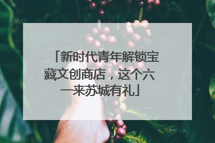 新时代青年解锁宝藏文创商店，这个六一来苏城有礼