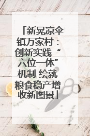 新晃凉伞镇万家村：创新实践“六位一体”机制 绘就粮食稳产增收新图景