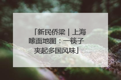 新民侨梁｜上海嗦面地图：一筷子夹起多国风味