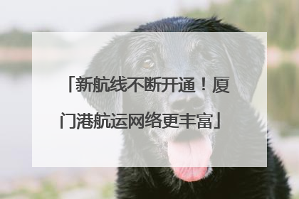 新航线不断开通！厦门港航运网络更丰富