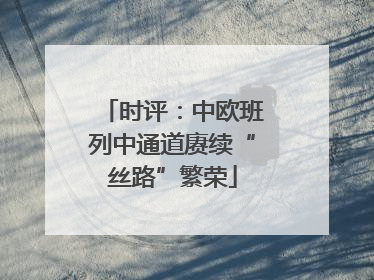 时评：中欧班列中通道赓续“丝路”繁荣