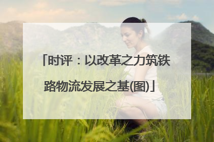 时评：以改革之力筑铁路物流发展之基(图)