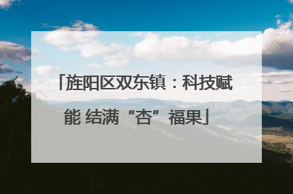 旌阳区双东镇：科技赋能 结满“杏”福果