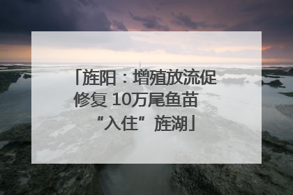 旌阳：增殖放流促修复 10万尾鱼苗“入住”旌湖