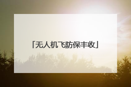 无人机飞防保丰收