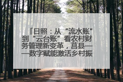 日照：从“流水账”到“云台账”看农村财务管理新变革，莒县——数字赋能激活乡村振兴“一池春水”