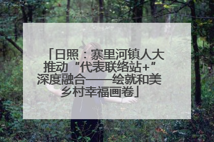 日照：寨里河镇人大推动“代表联络站+”深度融合——绘就和美乡村幸福画卷