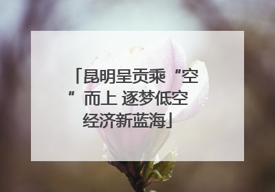 昆明呈贡乘“空”而上 逐梦低空经济新蓝海