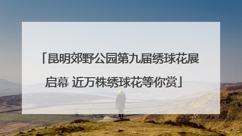 昆明郊野公园第九届绣球花展启幕 近万株绣球花等你赏