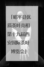 昭平县优质茶叶亮相第十九届西安国际茶叶博览会