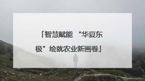 智慧赋能 “华夏东极”绘就农业新画卷