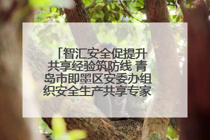 智汇安全促提升 共享经验筑防线 青岛市即墨区安委办组织安全生产共享专家现场观摩学习活动