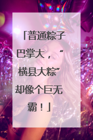 普通粽子巴掌大，“横县大粽”却像个巨无霸！