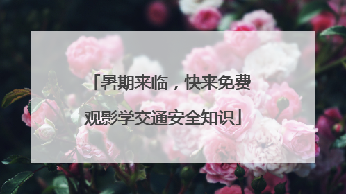 暑期来临，快来免费观影学交通安全知识
