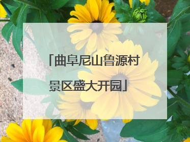 曲阜尼山鲁源村景区盛大开园