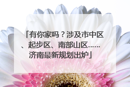 有你家吗？涉及市中区、起步区、南部山区……济南最新规划出炉