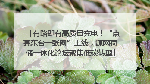 有路即有高质量充电！“点亮东台一张网”上线，源网荷储一体化论坛聚焦低碳转型