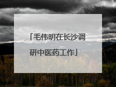 毛伟明在长沙调研中医药工作