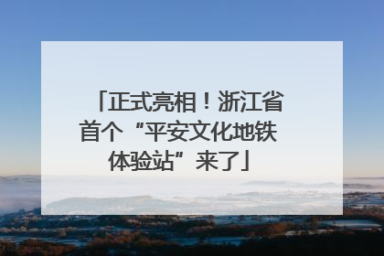 正式亮相！浙江省首个“平安文化地铁体验站”来了