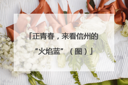 正青春，来看信州的“火焰蓝”（图）
