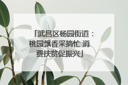 武昌区杨园街道：桃园飘香采摘忙 消费扶贫促振兴