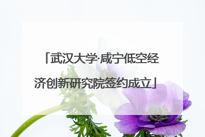 武汉大学·咸宁低空经济创新研究院签约成立