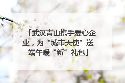 武汉青山携手爱心企业，为“城市天使”送端午暖“新”礼包