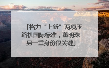 格力“上新”两项压缩机国际标准，董明珠另一重身份很关键