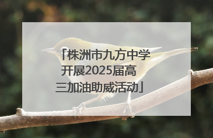 株洲市九方中学开展2025届高三加油助威活动