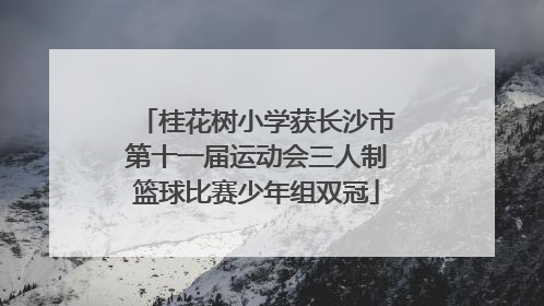 桂花树小学获长沙市第十一届运动会三人制篮球比赛少年组双冠