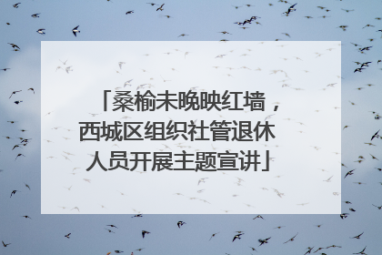桑榆未晚映红墙，西城区组织社管退休人员开展主题宣讲