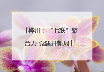 桦川：“七联”聚合力 党建开新局