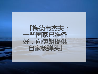 梅德韦杰夫：一些国家已准备好，向伊朗提供自家核弹头