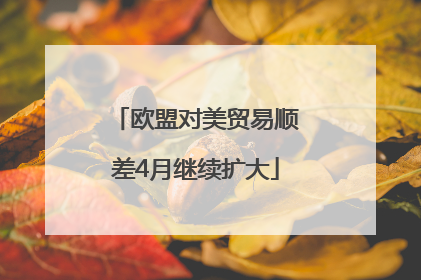 欧盟对美贸易顺差4月继续扩大