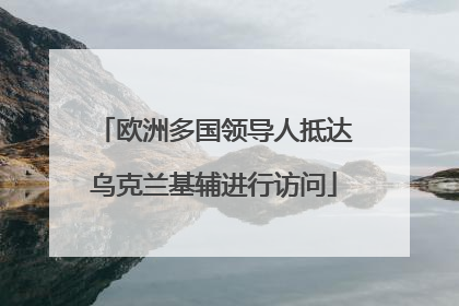 欧洲多国领导人抵达乌克兰基辅进行访问