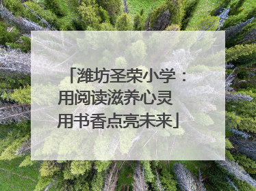 潍坊圣荣小学：用阅读滋养心灵 用书香点亮未来