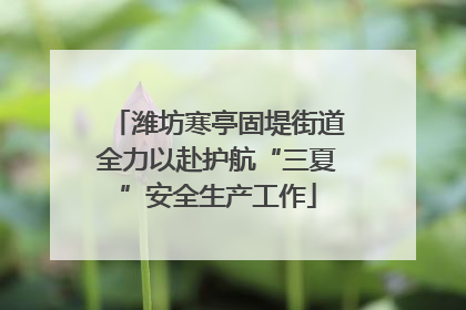 潍坊寒亭固堤街道全力以赴护航“三夏”安全生产工作