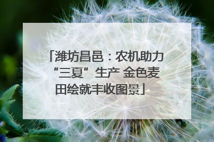 潍坊昌邑：农机助力“三夏”生产 金色麦田绘就丰收图景