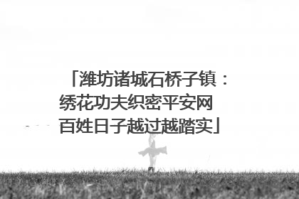 潍坊诸城石桥子镇：绣花功夫织密平安网 百姓日子越过越踏实