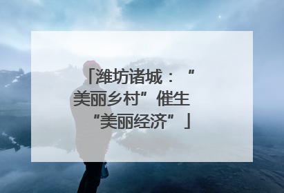 潍坊诸城：“美丽乡村”催生“美丽经济”