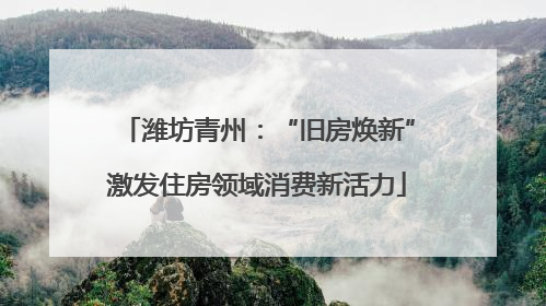 潍坊青州：“旧房焕新”激发住房领域消费新活力