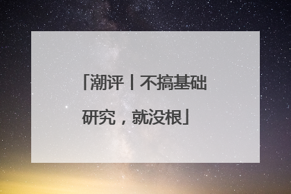 潮评丨不搞基础研究，就没根